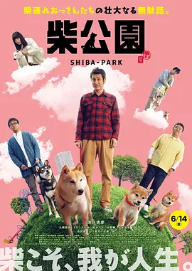 亚洲a在线观看